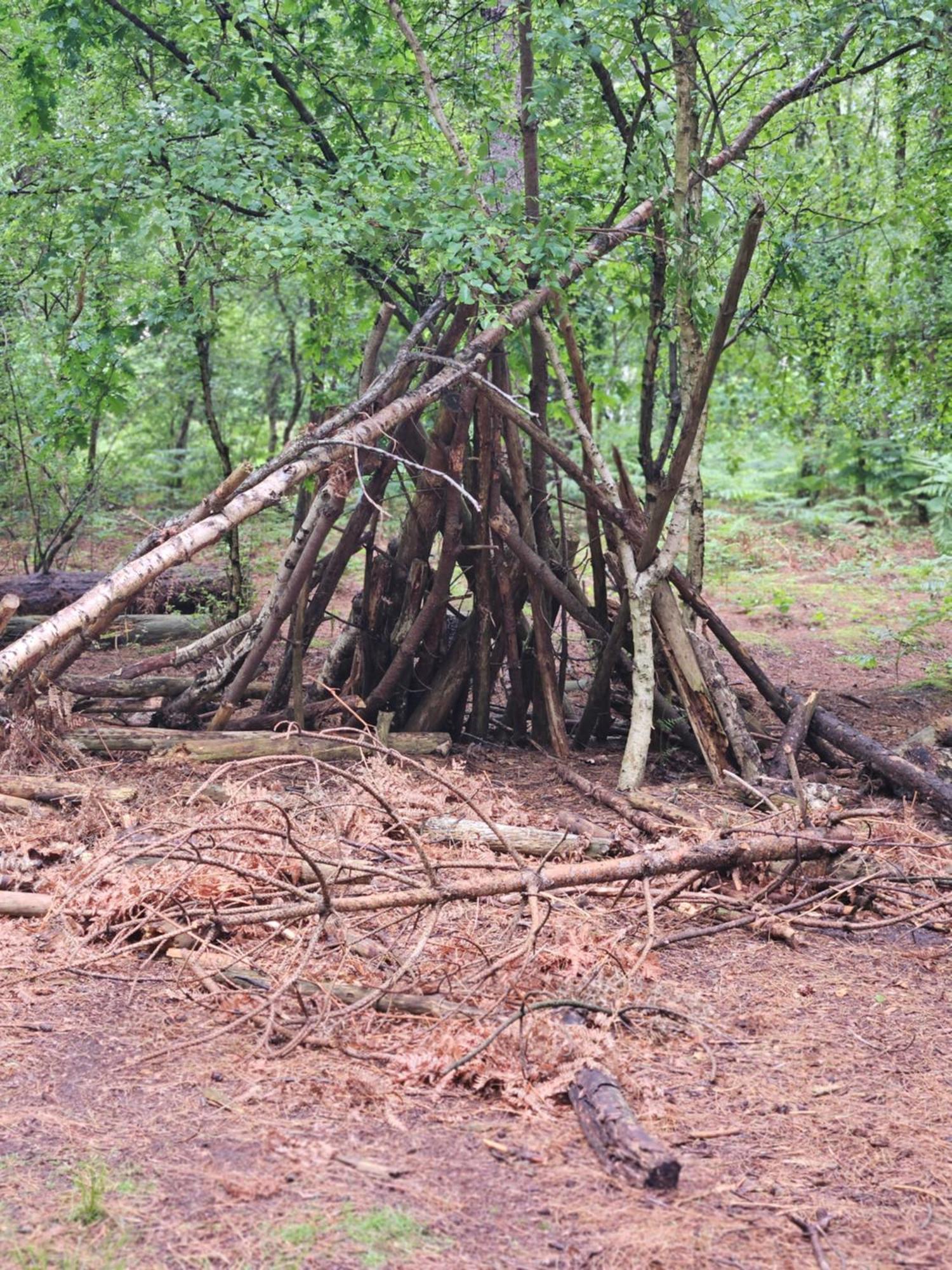 Marigold Lodge 8 At Oakdene Forest Park Saint Leonards Exterior foto